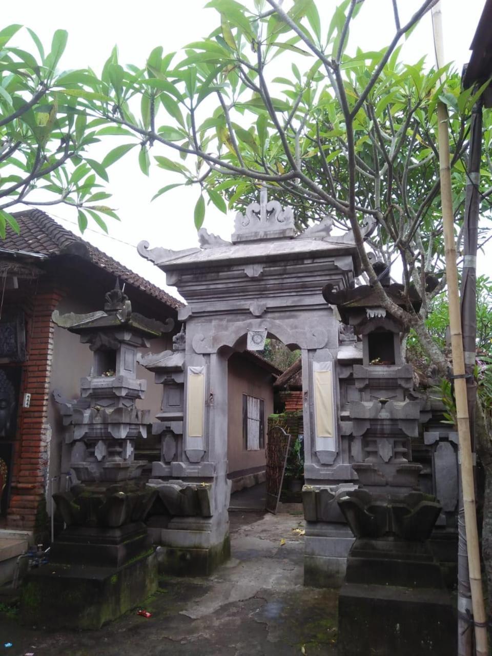 Bed and Breakfast Lionk Bali House Убуд Экстерьер фото